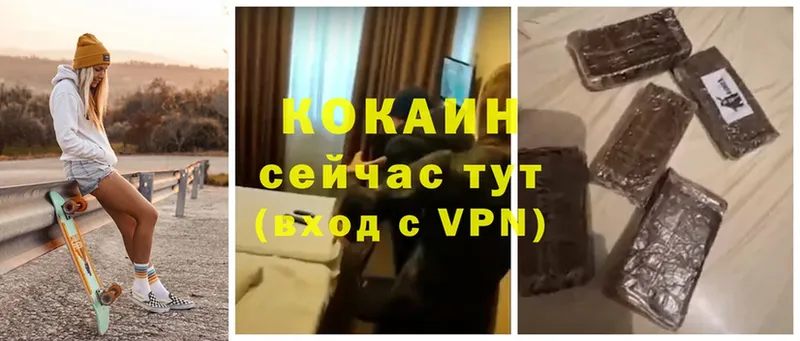 где можно купить   Лысково  COCAIN VHQ 